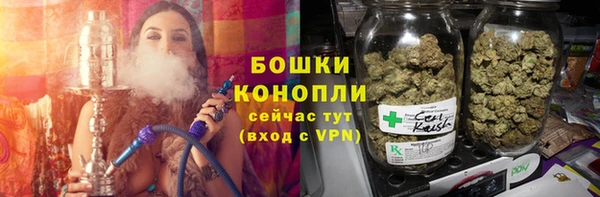 spice Алзамай