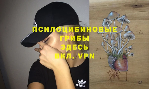 spice Алзамай