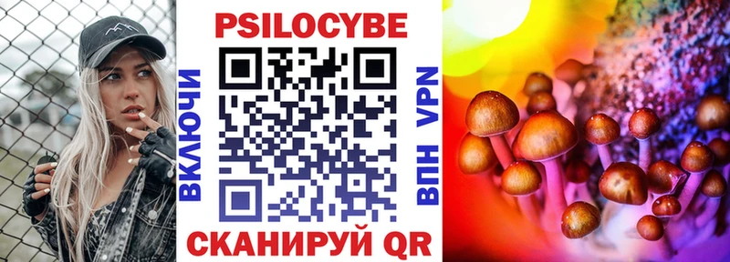 цена   Сасово  Псилоцибиновые грибы Psilocybe 